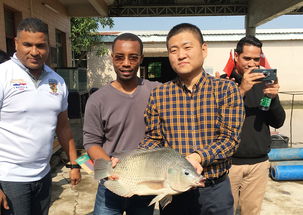 2019年海上絲綢之路國家水生動物健康管理及檢驗檢疫研修班項目圓滿落幕，成果豐碩助力畜牧漁業飼料銷售市場拓展